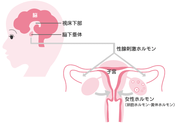 出す 低 中 に 用量 ピル